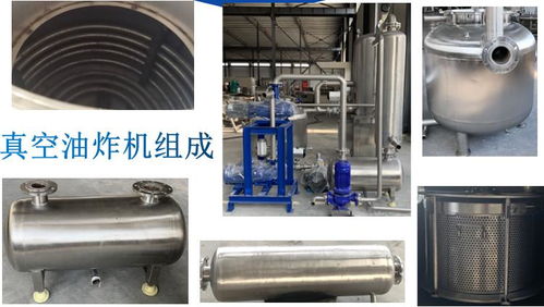 香椿芽与瓜子真空油炸设备采购全攻略 诸城市强大机械厂实力解析
